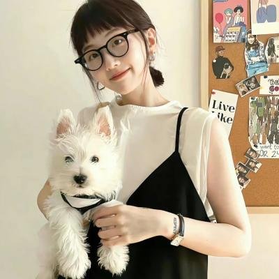新手人生