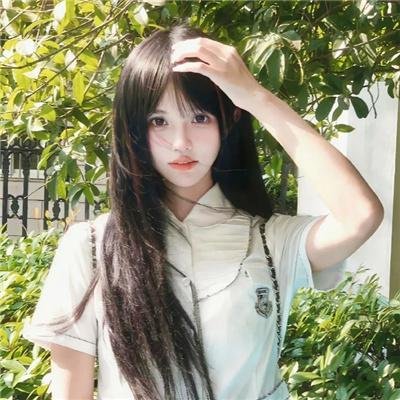 义胆骑士